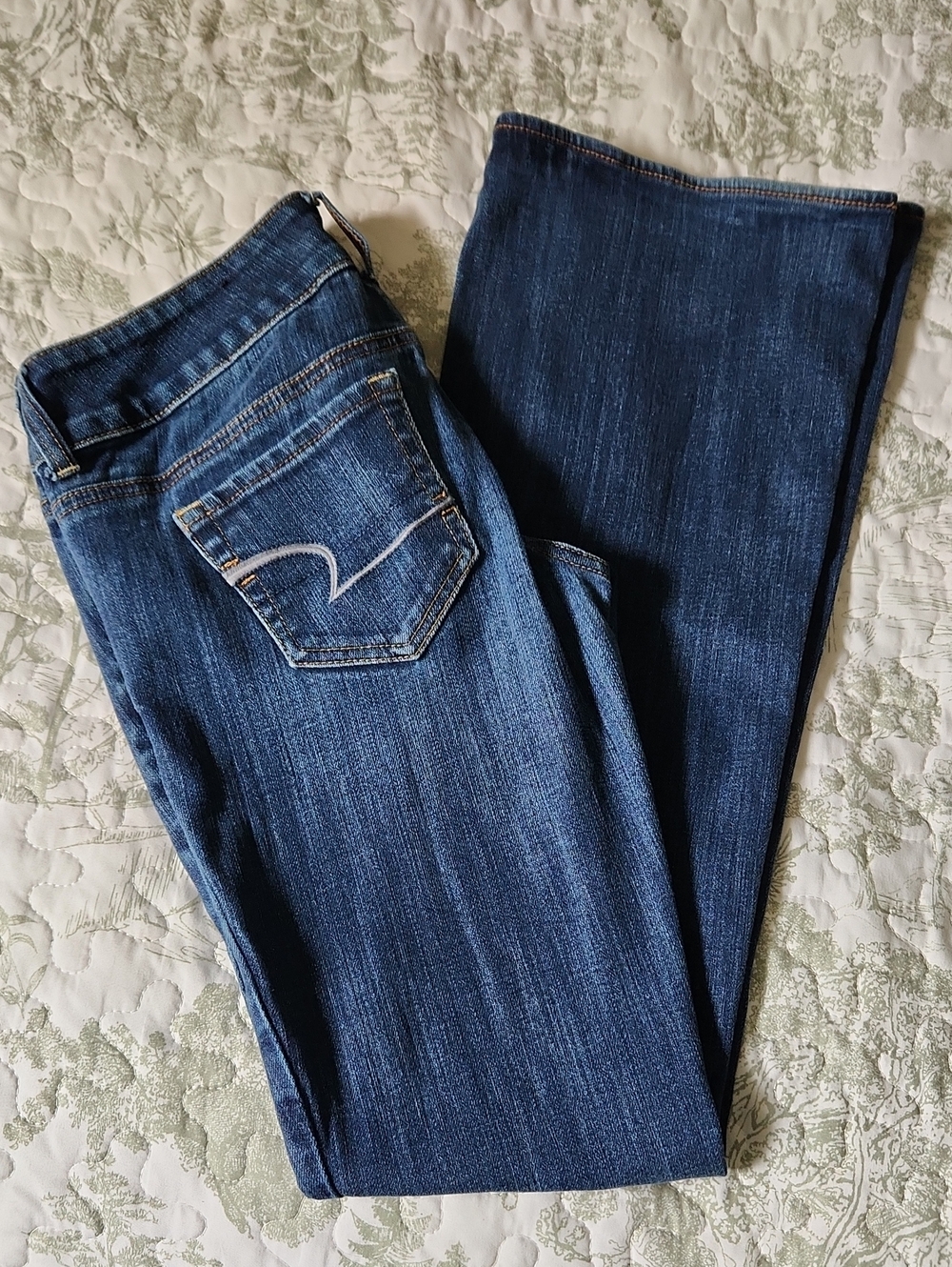 American Eagle Artist Flair Jeans